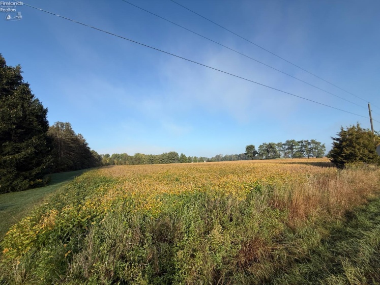 0 Section Line Road, New London, 44851, ,Land,For Sale,Section Line,20253852