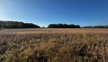 0 Section Line Road, New London, 44851, ,Land,For Sale,Section Line,20253852