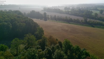 0 Section Line Road, New London, 44851, ,Land,For Sale,Section Line,20253852