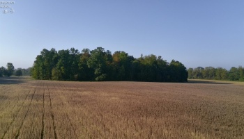 0 Section Line Road, New London, 44851, ,Land,For Sale,Section Line,20253852