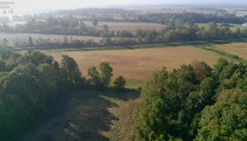 0 Section Line Road, New London, 44851, ,Land,For Sale,Section Line,20253852