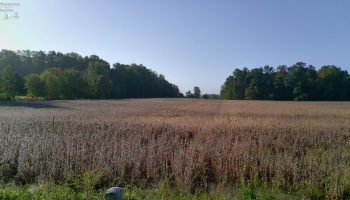 0 Section Line Road, New London, 44851, ,Land,For Sale,Section Line,20253852