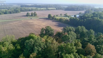 0 Section Line Road, New London, 44851, ,Land,For Sale,Section Line,20253852
