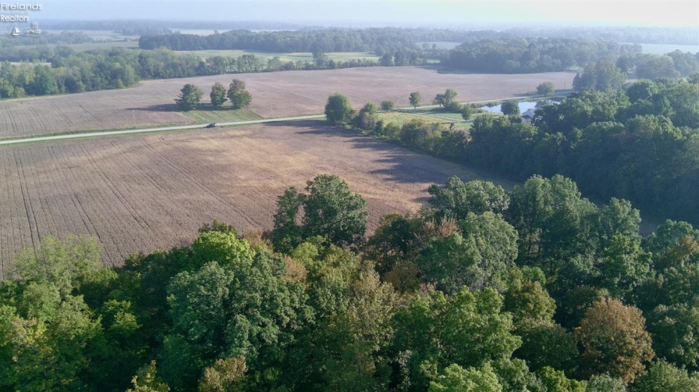 0 Section Line Road, New London, 44851, ,Land,For Sale,Section Line,20253852