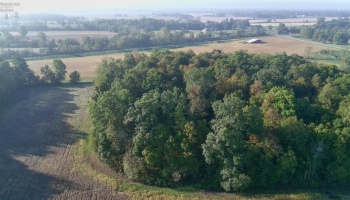 0 Section Line Road, New London, 44851, ,Land,For Sale,Section Line,20253852