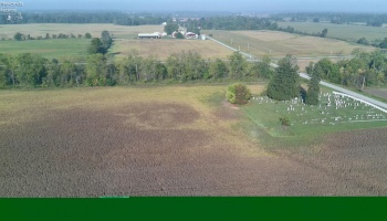 0 Section Line Road, New London, 44851, ,Land,For Sale,Section Line,20253852