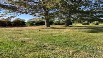 13310 Baumhart, Amherst, 44001, ,Multiple Units,For Sale,Baumhart,20253903