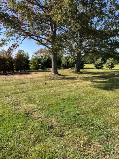 13310 Baumhart, Amherst, 44001, ,Multiple Units,For Sale,Baumhart,20253903