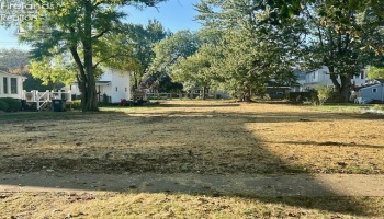305 E Stevenson St, Gibsonburg, 43431, ,Land,For Sale,E Stevenson St,20253915
