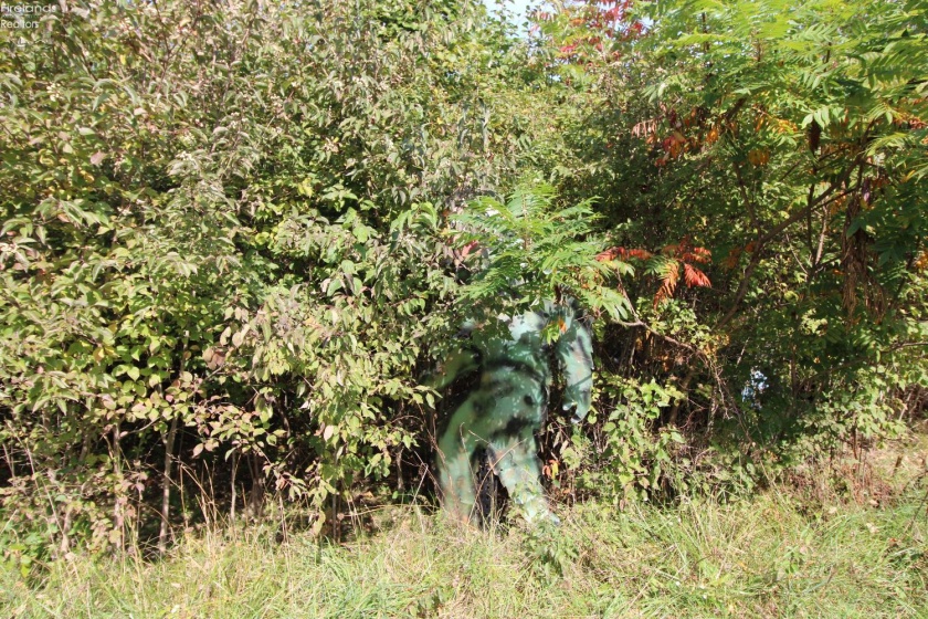 0 Englebeck, Marblehead, 43440, ,Land,For Sale,Englebeck,20253940 0 Englebeck, Marblehead, 43440, ,Land,For Sale,Englebeck,20253940