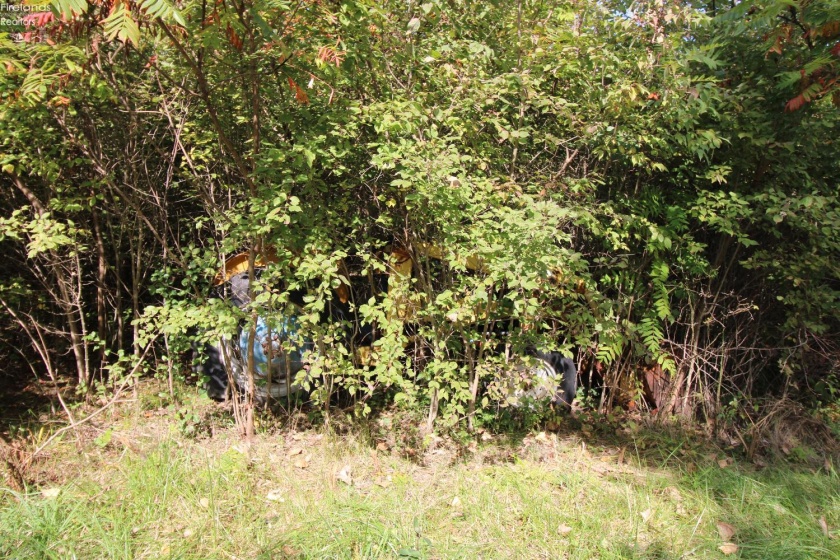 0 Englebeck, Marblehead, 43440, ,Land,For Sale,Englebeck,20253940 0 Englebeck, Marblehead, 43440, ,Land,For Sale,Englebeck,20253940