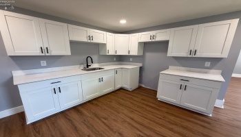 221 Reese Street, Sandusky, 44870, ,Multiple Units,For Sale,Reese,20254015