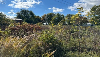 8700 SR RT 4, Carrothers, 44807, ,Commercial,For Sale,SR RT 4,20254124