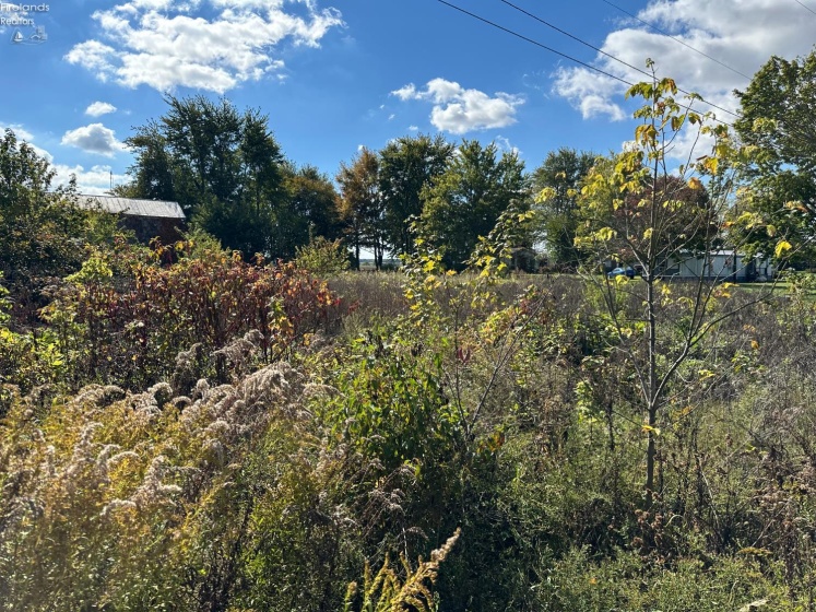 8700 SR RT 4, Carrothers, 44807, ,Commercial,For Sale,SR RT 4,20254124