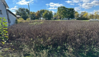 8700 SR RT 4, Carrothers, 44807, ,Commercial,For Sale,SR RT 4,20254124