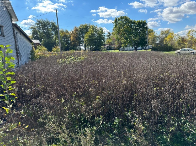 8700 SR RT 4, Carrothers, 44807, ,Commercial,For Sale,SR RT 4,20254124