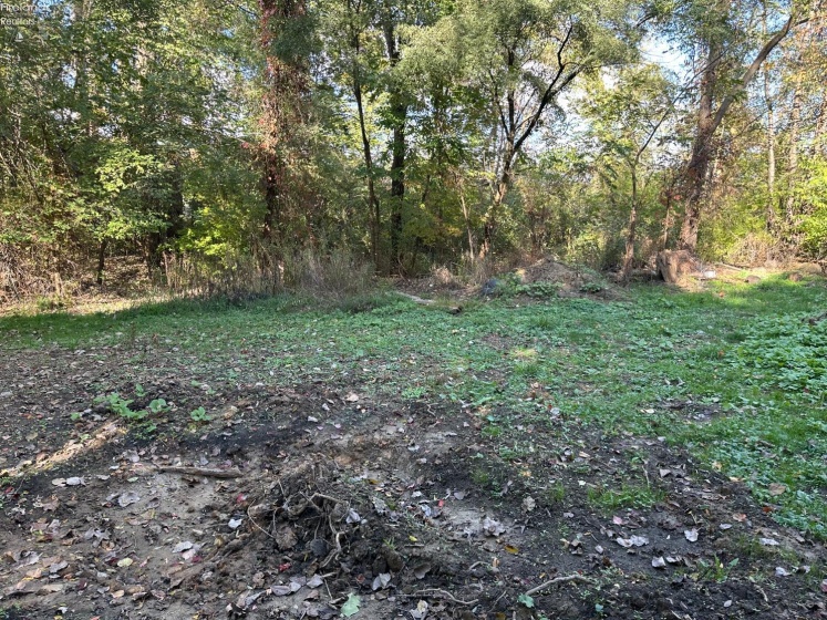 7320 Fenner Road, Shelby, 44875, ,Land,For Sale,Fenner,20254153