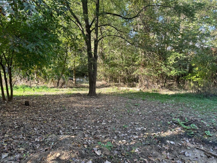 7320 Fenner Road, Shelby, 44875, ,Land,For Sale,Fenner,20254153