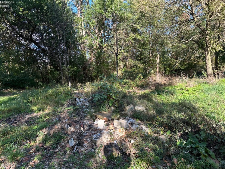 7320 Fenner Road, Shelby, 44875, ,Land,For Sale,Fenner,20254153