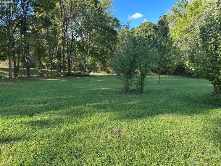 7320 Fenner Road, Shelby, 44875, ,Land,For Sale,Fenner,20254153