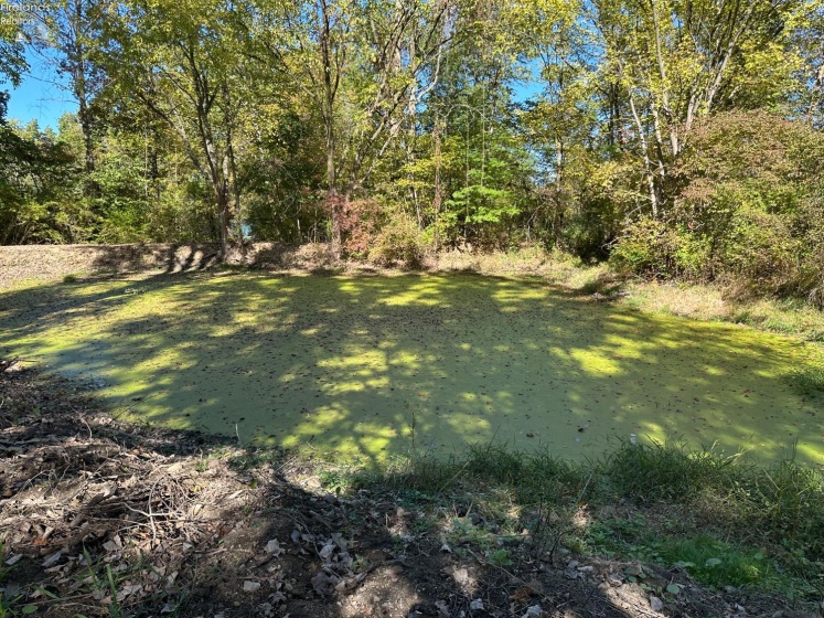 7320 Fenner Road, Shelby, 44875, ,Land,For Sale,Fenner,20254153