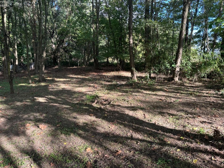 7320 Fenner Road, Shelby, 44875, ,Land,For Sale,Fenner,20254153