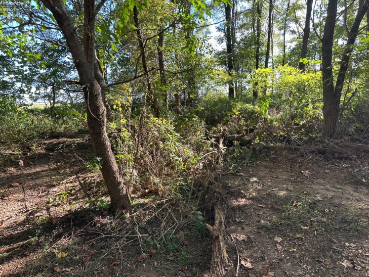 7320 Fenner Road, Shelby, 44875, ,Land,For Sale,Fenner,20254153