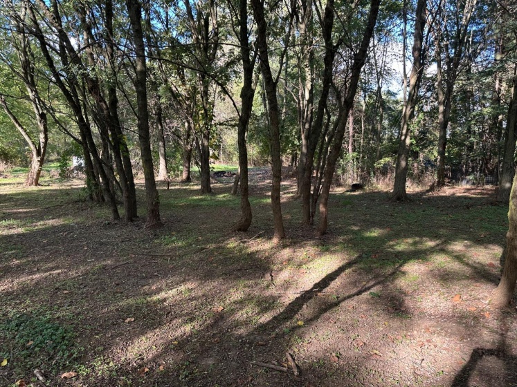 7320 Fenner Road, Shelby, 44875, ,Land,For Sale,Fenner,20254153