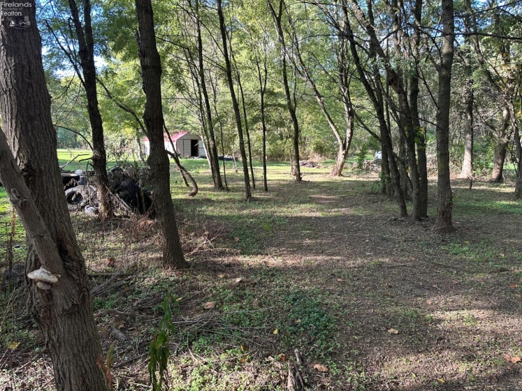 7320 Fenner Road, Shelby, 44875, ,Land,For Sale,Fenner,20254153