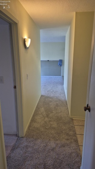 1305 Lake Wilmer Drive, Sandusky, 44870, 2 Bedrooms Bedrooms, ,1 BathroomBathrooms,Residential For Lease,For Lease,Lake Wilmer,20254389