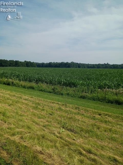 141 St Rt 60, New London, 44851, 3 Bedrooms Bedrooms, ,2 BathroomsBathrooms,Residential,For Sale,St Rt 60,20253284