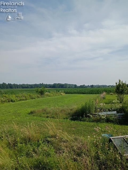 141 St Rt 60, New London, 44851, 3 Bedrooms Bedrooms, ,2 BathroomsBathrooms,Residential,For Sale,St Rt 60,20253284