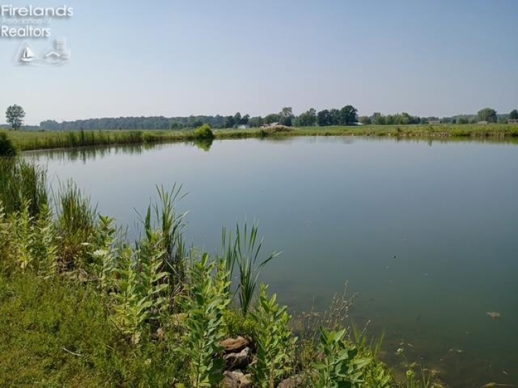 141 St Rt 60, New London, 44851, 3 Bedrooms Bedrooms, ,2 BathroomsBathrooms,Residential,For Sale,St Rt 60,20253284