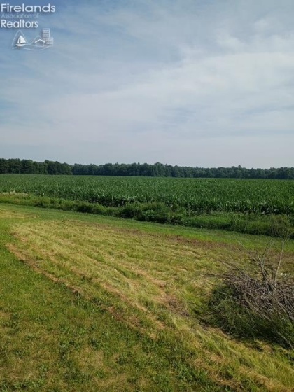 141 St Rt 60, New London, 44851, 3 Bedrooms Bedrooms, ,2 BathroomsBathrooms,Residential,For Sale,St Rt 60,20253284