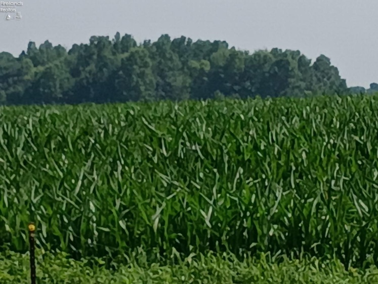 141 St Rt 60, New London, 44851, 3 Bedrooms Bedrooms, ,2 BathroomsBathrooms,Residential,For Sale,St Rt 60,20253284