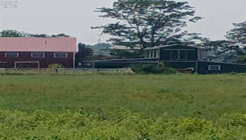 141 St Rt 60, New London, 44851, 3 Bedrooms Bedrooms, ,2 BathroomsBathrooms,Residential,For Sale,St Rt 60,20253284 141 St Rt 60, New London, 44851, 3 Bedrooms Bedrooms, ,2 BathroomsBathrooms,Residential,For Sale,St Rt 60,20253284