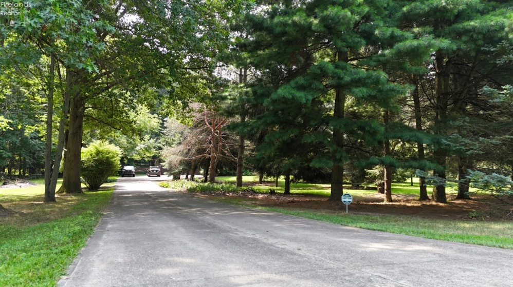 49215 Whittlesey Road, Amherst, 44001, 3 Bedrooms Bedrooms, ,3 BathroomsBathrooms,Residential,For Sale,Whittlesey,20252825