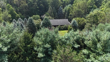 49215 Whittlesey Road, Amherst, 44001, 3 Bedrooms Bedrooms, ,3 BathroomsBathrooms,Residential,For Sale,Whittlesey,20252825