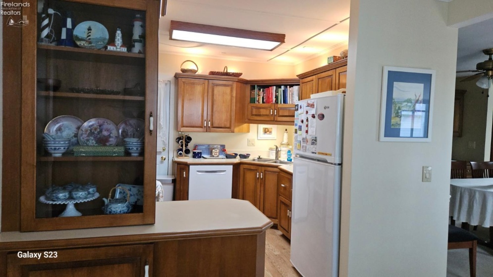 223 Vine Avenue, Lakeside, 43440, 4 Bedrooms Bedrooms, ,2 BathroomsBathrooms,Residential,For Sale,Vine,20252550