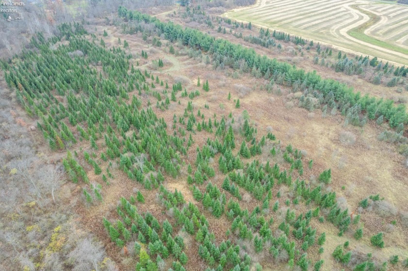 0 Bursley Road, Wellington, 44090, ,Land,For Sale,Bursley,20254586