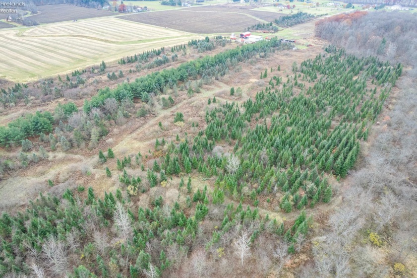 0 Bursley Road, Wellington, 44090, ,Land,For Sale,Bursley,20254586