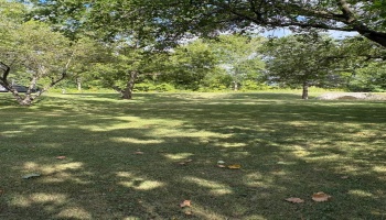 29987 Pemberville, Millbury, 43447, 3 Bedrooms Bedrooms, ,2 BathroomsBathrooms,Residential,For Sale,Pemberville,20253623