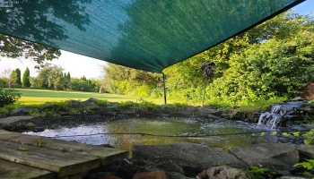 611 Bogart Road, Sandusky, 44870, 4 Bedrooms Bedrooms, ,4 BathroomsBathrooms,Residential,For Sale,Bogart,20252871 611 Bogart Road, Sandusky, 44870, 4 Bedrooms Bedrooms, ,4 BathroomsBathrooms,Residential,For Sale,Bogart,20252871