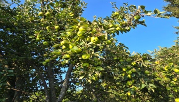 611 Bogart Road, Sandusky, 44870, 4 Bedrooms Bedrooms, ,4 BathroomsBathrooms,Residential,For Sale,Bogart,20252871 611 Bogart Road, Sandusky, 44870, 4 Bedrooms Bedrooms, ,4 BathroomsBathrooms,Residential,For Sale,Bogart,20252871