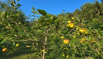 611 Bogart Road, Sandusky, 44870, 4 Bedrooms Bedrooms, ,4 BathroomsBathrooms,Residential,For Sale,Bogart,20252871 611 Bogart Road, Sandusky, 44870, 4 Bedrooms Bedrooms, ,4 BathroomsBathrooms,Residential,For Sale,Bogart,20252871