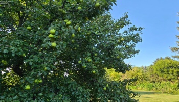 611 Bogart Road, Sandusky, 44870, 4 Bedrooms Bedrooms, ,4 BathroomsBathrooms,Residential,For Sale,Bogart,20252871