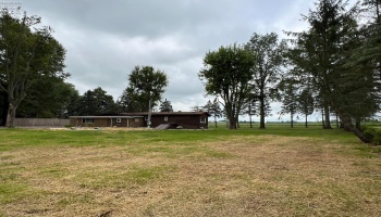 4673 Tiro Road, Tiro, 44887, 2 Bedrooms Bedrooms, ,2 BathroomsBathrooms,Residential,For Sale,Tiro,20253505