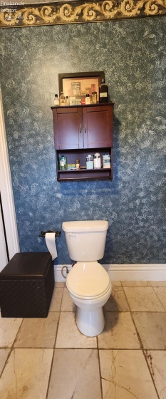 115 Vine Street, Wellington, 44090, 4 Bedrooms Bedrooms, ,2 BathroomsBathrooms,Residential,For Sale,Vine,20252619