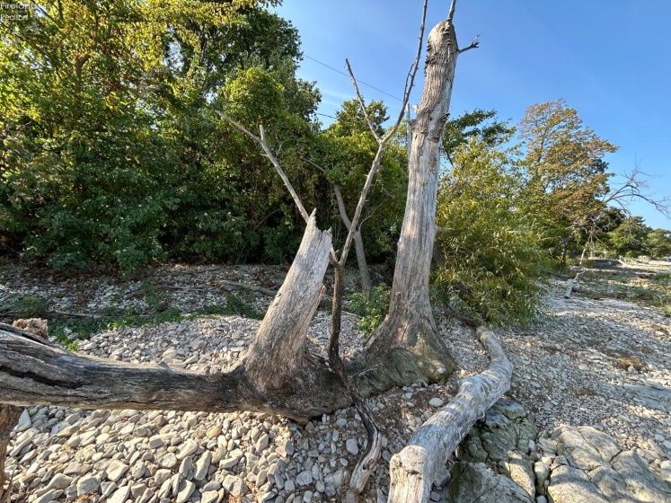 20 N Shore, Middle Bass Island, 43446, ,Land,For Sale,N Shore,20254645