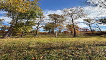 4018 Cleveland Rd, Huron, 44839, 5 Bedrooms Bedrooms, ,2 BathroomsBathrooms,Residential,For Sale,Cleveland Rd,20254290